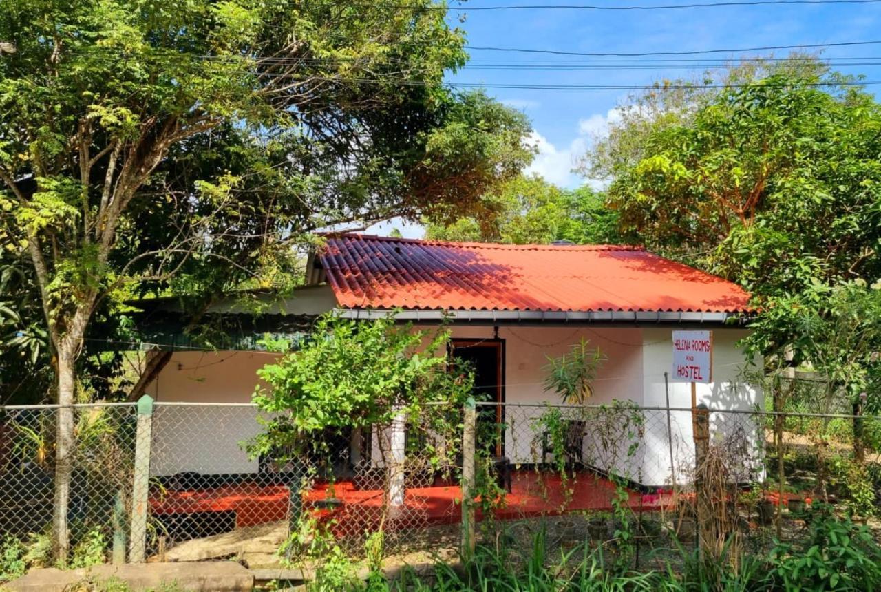 Helena Hostel Dikwella Exterior foto