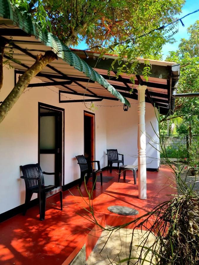 Helena Hostel Dikwella Exterior foto